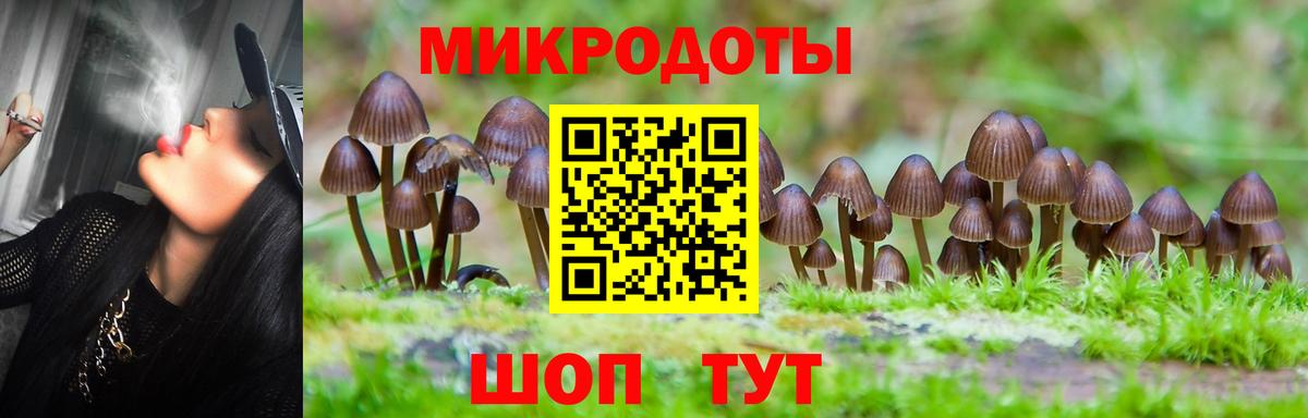 где купить наркоту  Галлюциногенные грибы мицелий  Вход с VPN  Ставрополь 